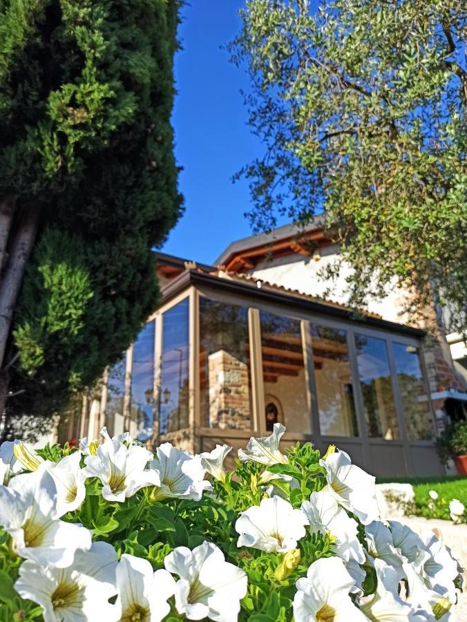 Le Zampolle B & B Cola  ภายนอก รูปภาพ