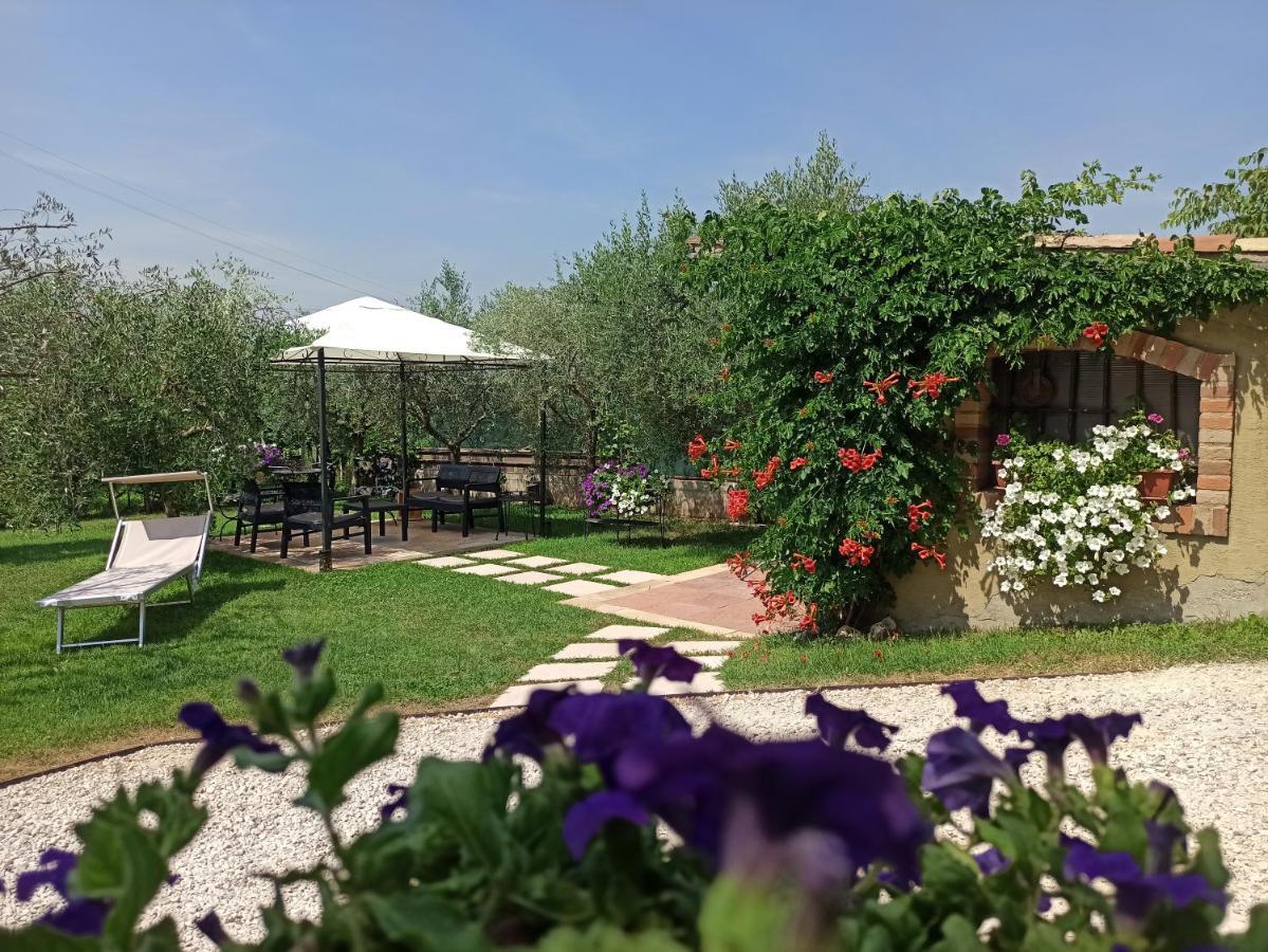 Le Zampolle B & B Cola  ภายนอก รูปภาพ